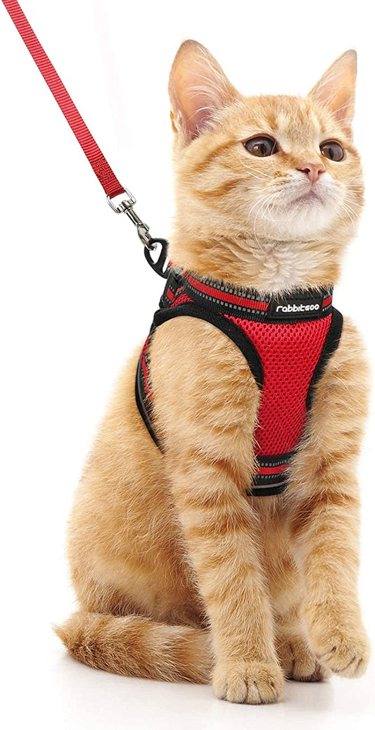 Rabbitgoo Cat Harness and Leash Set for Walking Escape Proof, Adjustable Soft Kittens Vest with Reflective Strip for Cats, Comfortable Outdoor Vest, Red, M