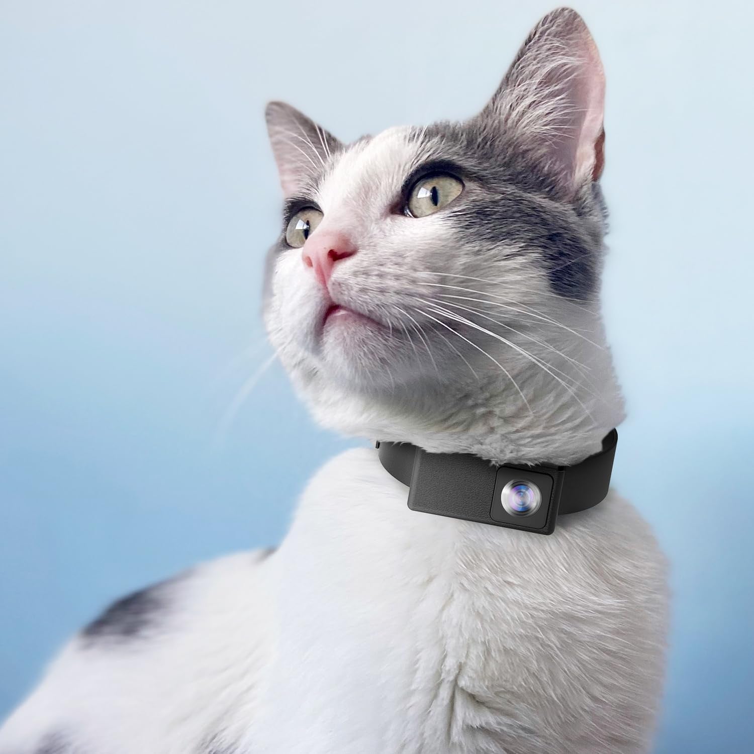 1080P Cat Camera Collar, HD Mini Body Camera for Cats, No Need App or Wifi, 32GB Video Record Camera, Adjustable Safety Leather Strap (Neck Fit 8"-12"), Collar Camera See Life through Your Cat'S Eyes