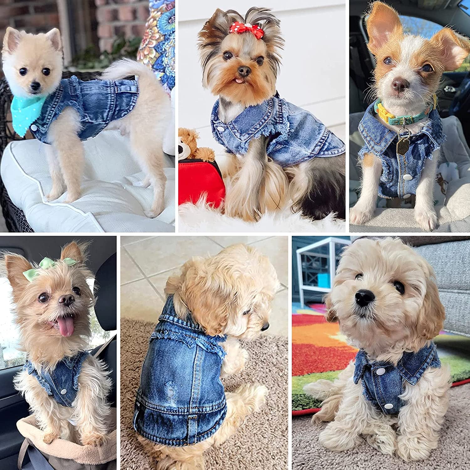 Dog Jean Jacket, Blue Denim Lapel Vest Coat T-Shirt Costume Cute Girl Boy Dog Puppy Clothes, Comfort and Cool Apparel, for Small Medium Dogs Cats, Machine Washable Dog Outfits (XXL, Blue)