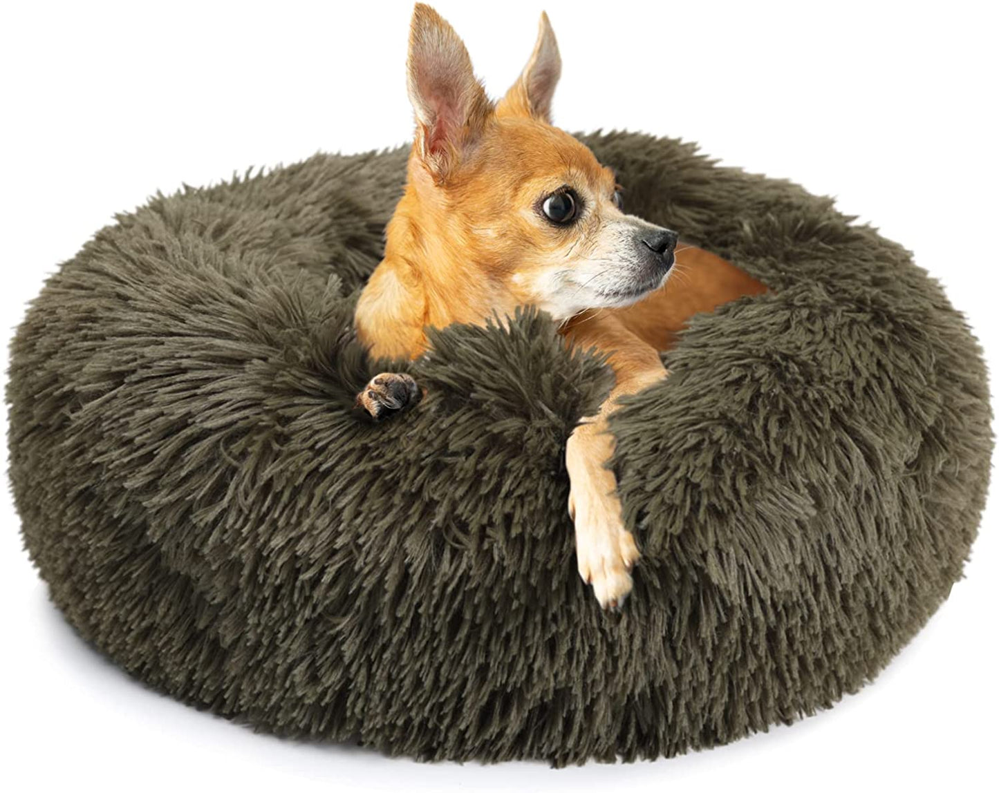 Small Dog Bed Calming Dogs Bed for Small Dogs Anti-Anxiety Puppy Bed Machine Washable Fluffy Luxury Anti-Slip Waterproof Mute Base Warming Cozy Soft Pet round Bed