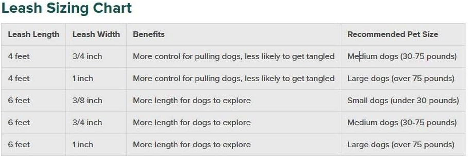 Petsafe Nylon Dog Leash - Strong, Durable, Traditional Style Leash with Easy to Use Bolt Snap - 1 In. X 4 Ft., Royal Blue