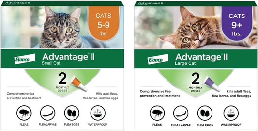 Advantage II Small Cat 5-9 Lbs & Advantage II Large Cat over 9 Lbs Vet-Recommended Flea Treatment & Prevention | 2-Month Supply Each