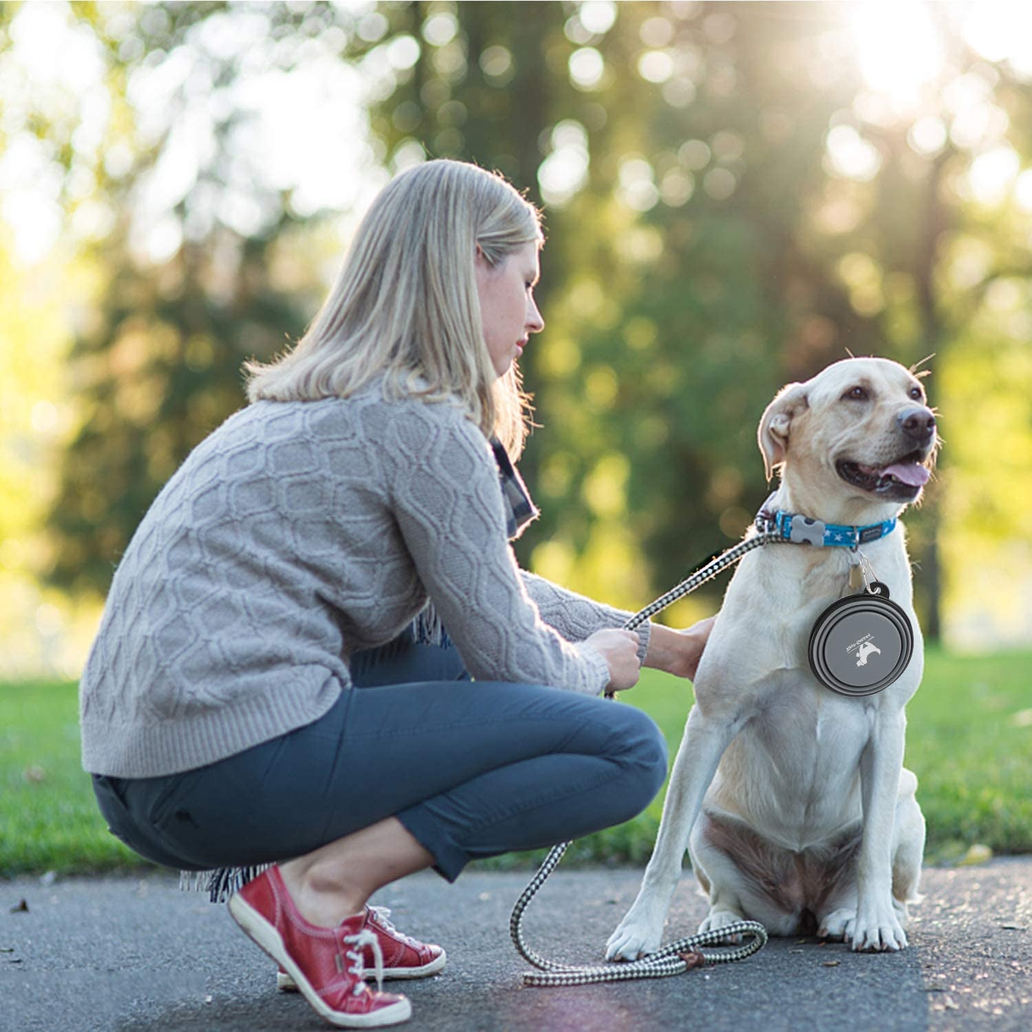 Rest-Eazzzy Collapsible Dog Bowls for Travel, 2-Pack Dog Portable Water Bowl for Dogs Cats Pet Foldable Feeding Watering Dish for Traveling Camping Walking with 2 Carabiners, BPA Free