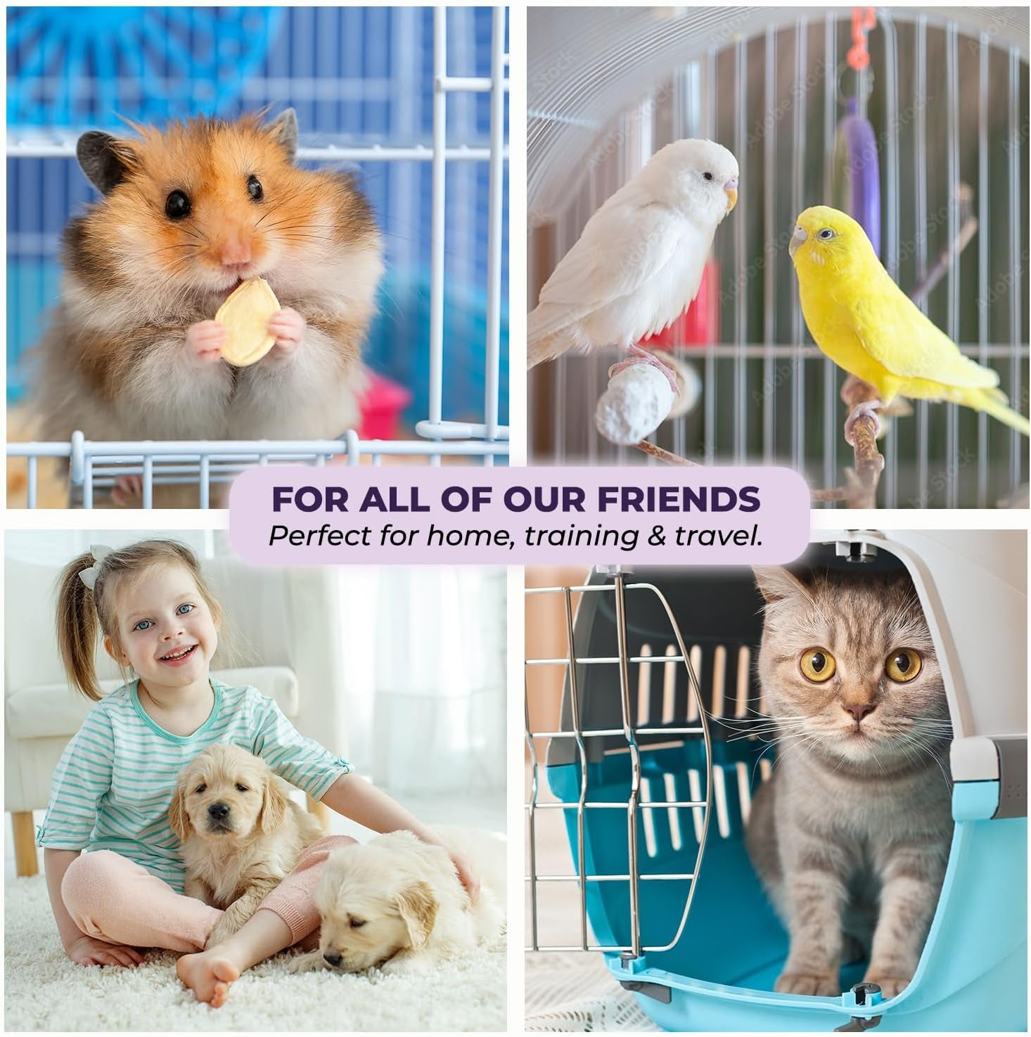 GREEN LIFESTYLE Washable Underpads - Large Bed Pads for Use as Incontinence Bed Pads, Reusable Pet Pads, Great for Dogs, Cats, Bunny, Seniors Bed Pad (Pack of 6 - 30X34)