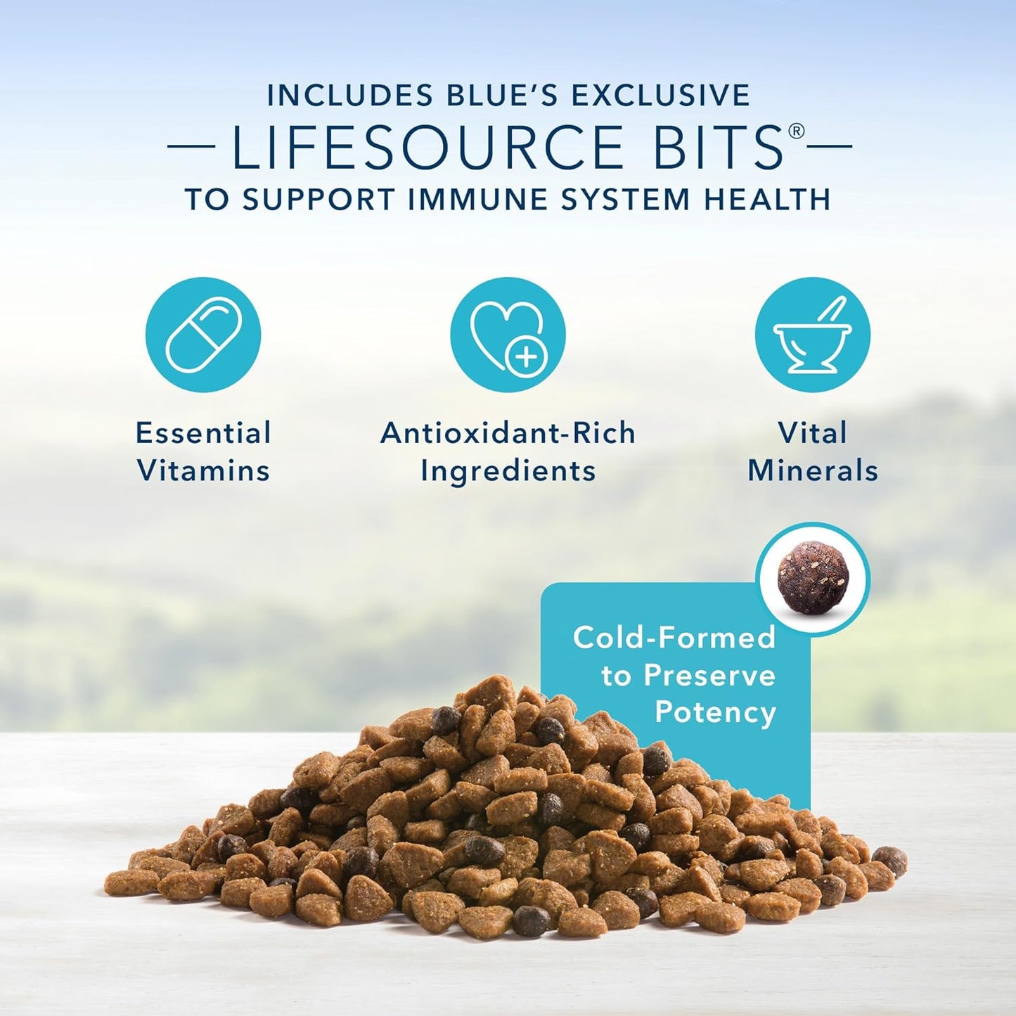 Blue Buffalo Blue Life Protection Formula Natural Adult Beef and Brown Rice Dry Dog Food, 24 Lbs.