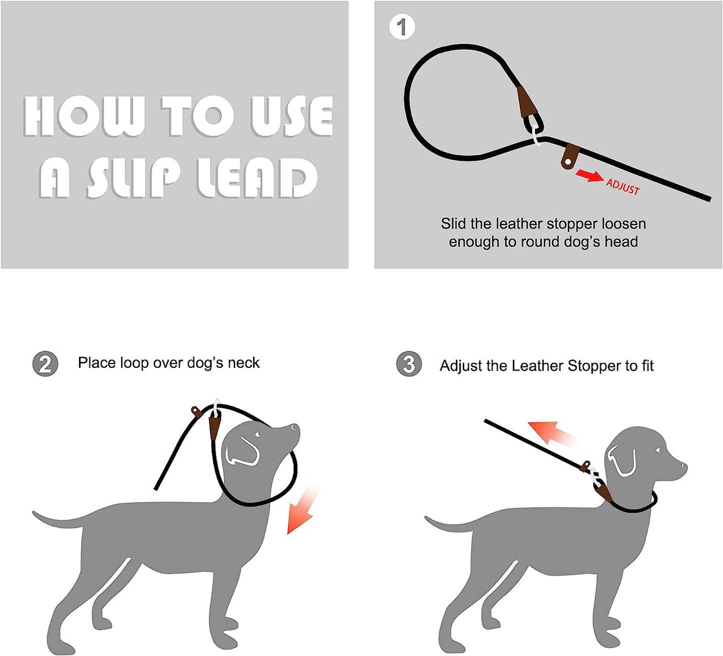 Fida Durable Slip Lead Dog Leash Bulk Pack of 5, Heavy Duty 1/2" X 6 FT Comfortable Strong Rope Slip Leash for Large, Medium & Small Dogs No Pulling Pet Training Leash with Highly Reflective (Mixed)