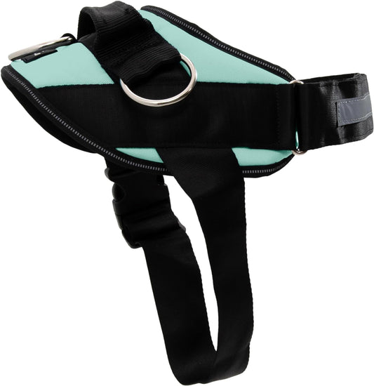 Shawnco Essential Dog Harness, No-Pull Pet Vest with 3 Leash Clips, No Choke, Reflective, Adjustable and Padded, for Easy Walking and Training for Small, Medium and Large Dogs (Seafoam, XL)