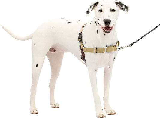 Petsafe Medium/Large Dog Harness - Fawn/Brown - Patented Martingale Loop, Front Leash Attachment - No-Pull Harness for Better Leash Manners