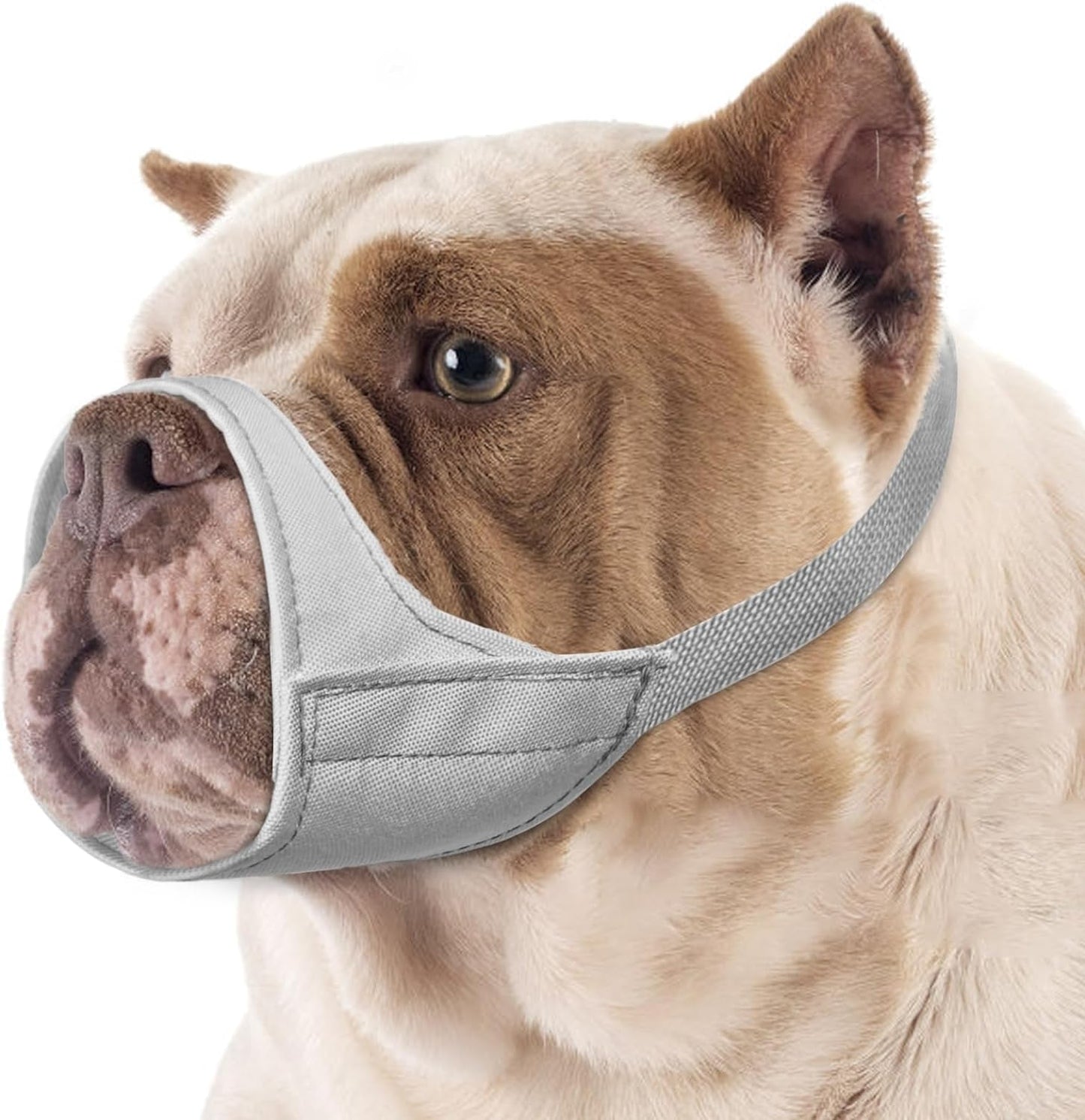 Mayerzon Short Snout Dog Muzzle, Small Muzzle for Chihuahua Shih Tzu American Bully Boxer Puppy, Soft Fabric Muzzles for Grooming Vet Visits, Prevent Biting Chewing Fighting