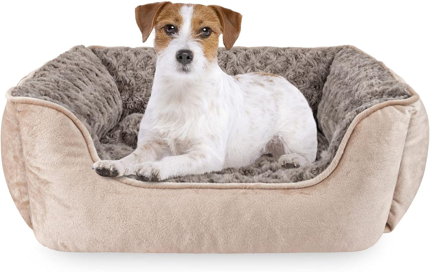 JOEJOY Rectangle Dog Bed for Large Medium Small Dogs Machine Washable Sleeping Dog Sofa Bed Non-Slip Bottom Breathable Soft Puppy Bed Durable Orthopedic Calming Pet Cuddler, Multiple Size, Beige