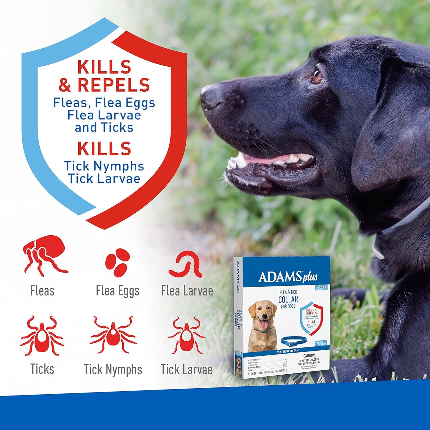 Adams plus Flea & Tick Collar for Dogs, 7-Month Protection, Adjustable Collar Fits Large Dogs & Puppies, Kills & Repels Fleas, Flea Eggs, Flea Larvae and Ticks, Kills Tick Larvae and Tick Nymphs, Blue