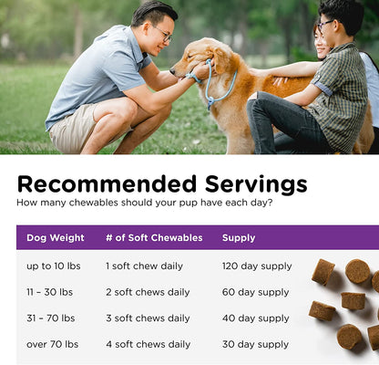 Nutri-Vet Pre and Probiotic Soft Chews for Dogs | Digestive Health Support | Tasty Alternative to Probiotic Powder | 120 Soft Chews