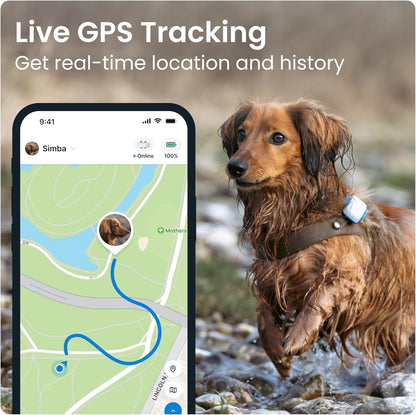 Tractive GPS Pet Tracker for Dogs - Waterproof, GPS Location & Smart Activity Tracker, Unlimited Range (Midnight Blue)