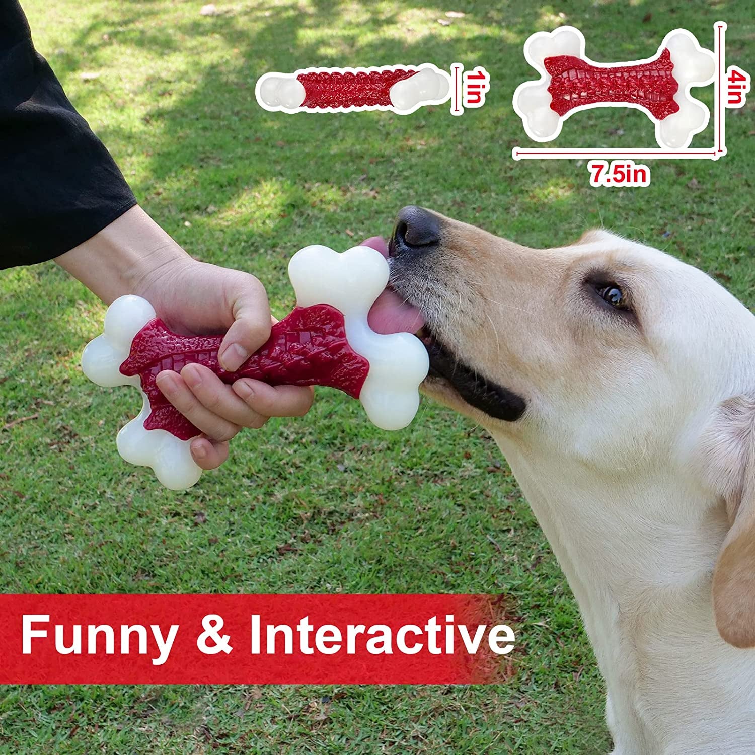 Tough Dog Toys, Toys for Aggressive Chewers Large Breed, Chew Dogs, Bone Toy Nylon Dogs Extreme Indestructible