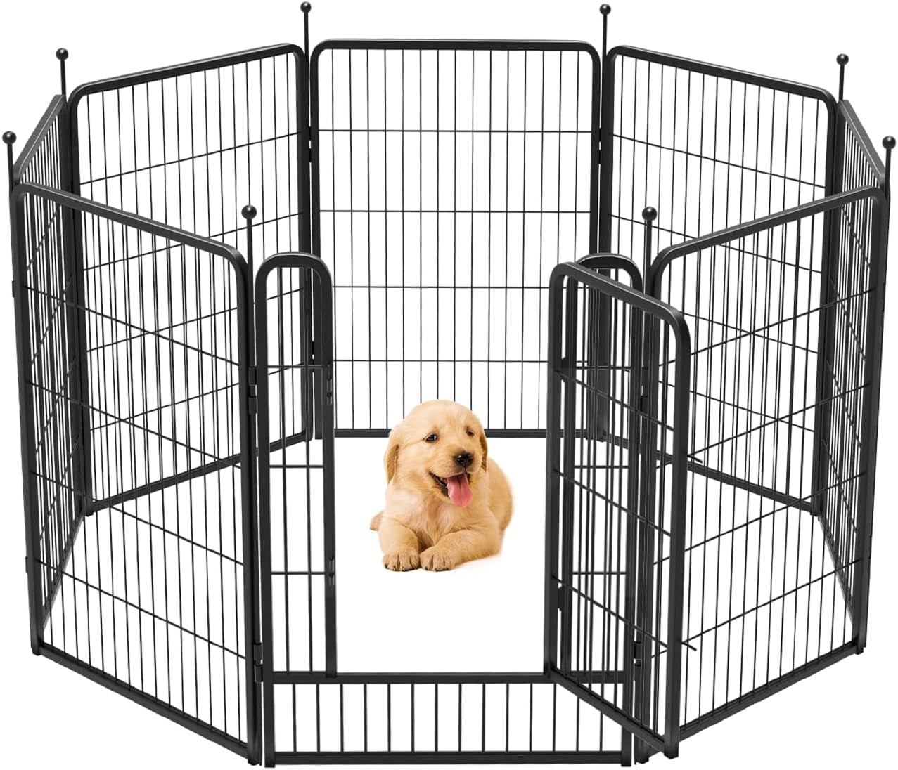 FXW Rollick Dog Playpen for Yard, RV Camping│Patented, 40 Inch 8 Panels