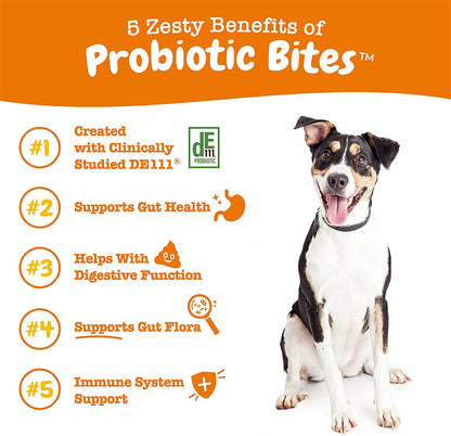 Zesty Paws Probiotics for Dogs - Digestive Enzymes for Gut Flora, Digestive Health, Diarrhea & Bowel Support - Clinically Studied DE111 - Dog Supplement Soft Chew for Pet Immune System - Pumpkin