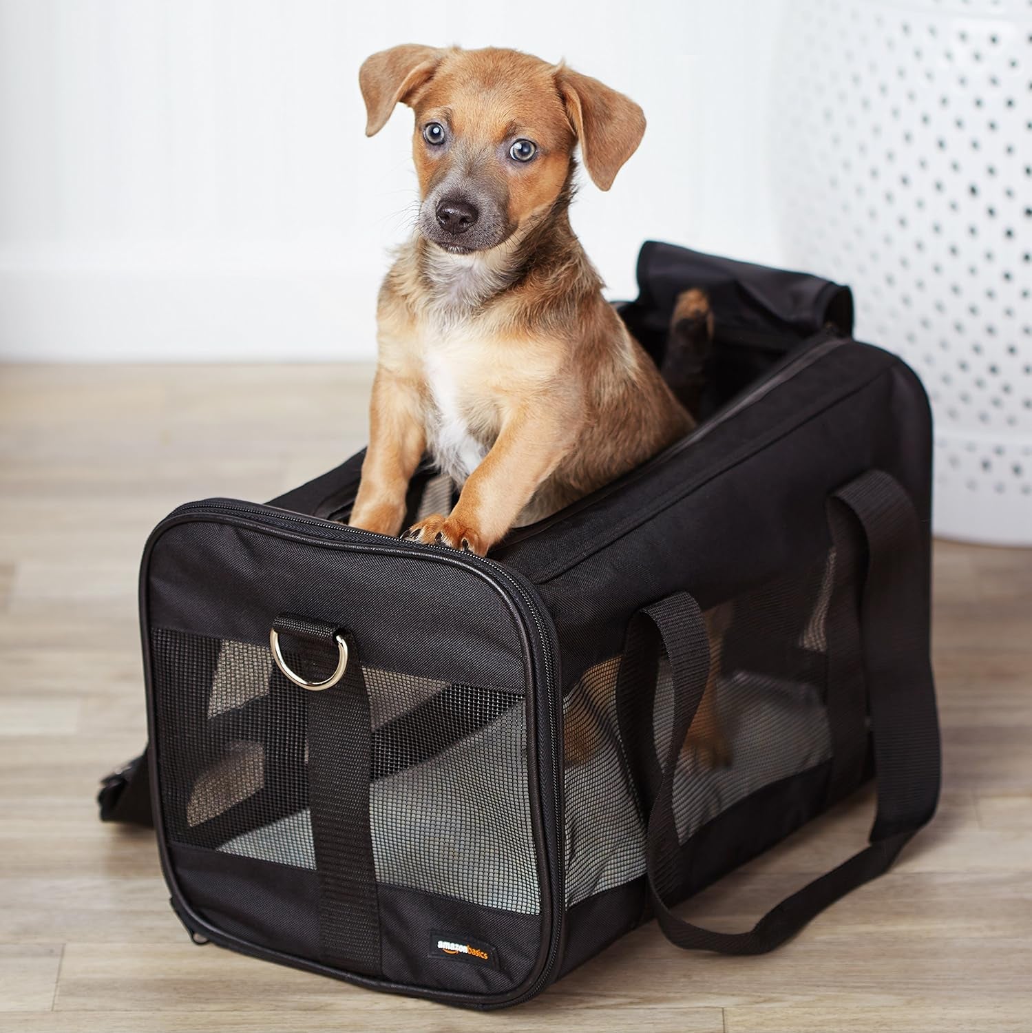 Amazon Basics Soft-Sided Mesh Pet Travel Carrier for Dog, Cat, Medium, 16.5" L x 9.4" W x 9.8" H, Black