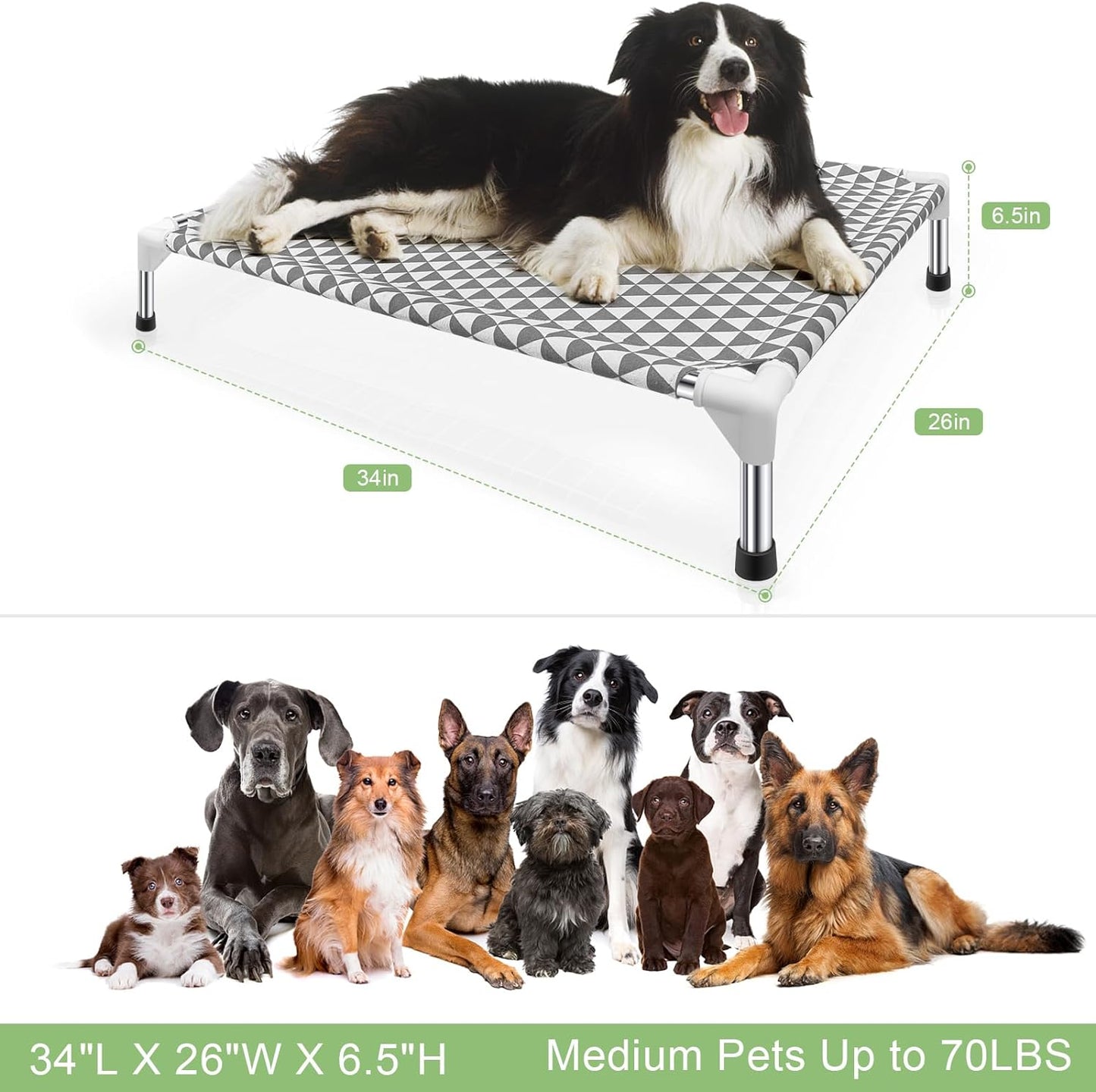 Elevated Outdoor Dog Bed, Medium Size, Cotton Material, Non-Slip Feet, Fits up to 70lbs