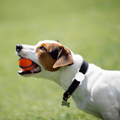 SWINCHO Airtag Dog Collar Holder(2 Pack) for Apple Airtag Anti-Lost Silicone Air Tag Holder Cat Collar (Pink&Purple)