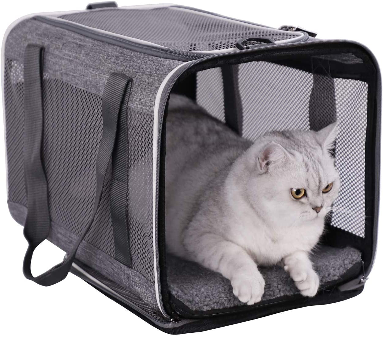 Petisfam Soft Pet Carrier for Large and Medium Cats, 2 Kitties, Small Dogs. Easy to Get Cat In, Great for Cats That Don'T like Carriers (Black)