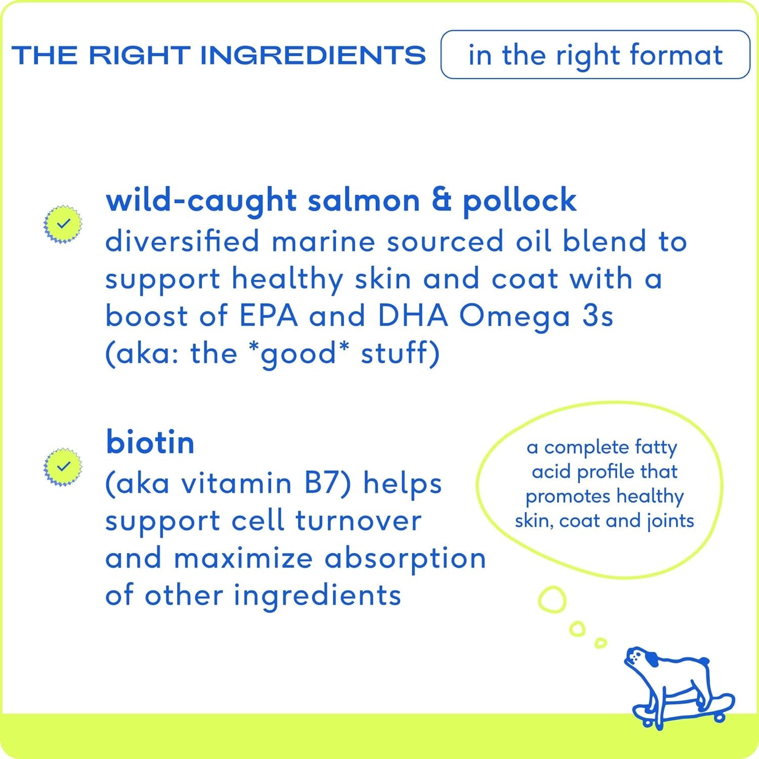 Native Pet Omega 3 Fish Oil for Dogs - Made with Wild Alaskan Salmon Oil with Omega 3 EPA DHA - Supports Itchy Skin + Mobility - Liquid Pump Is Easy to Serve - a Fish Oil Dogs Love! (8 Oz)