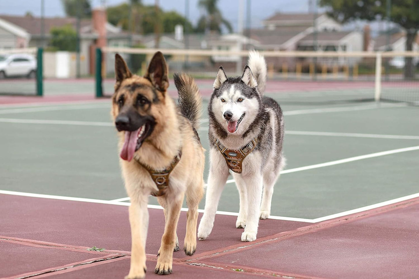 Auroth Tactical Dog Harness for Small Medium Large Dogs No Pull Adjustable Pet Harness Reflective K9 Working Training Easy Control Pet Vest Military Service Dog Harnesses (M, Purple Camo)