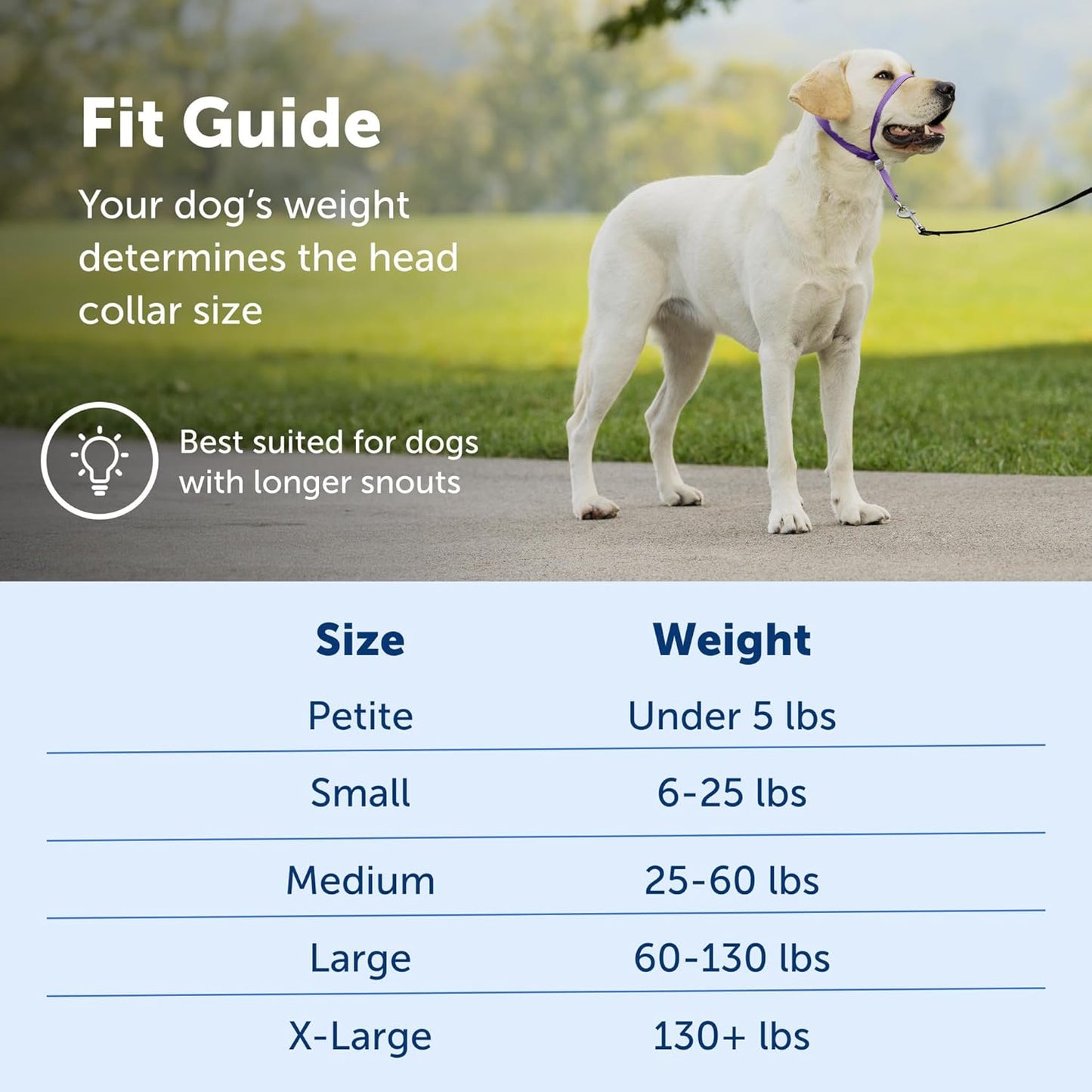 Petsafe Gentle Leader No-Pull Dog Headcollar - the Ultimate Solution to Pulling - Redirects Your Dog'S Pulling for Easier Walks - Helps You Regain Control - Large, Deep Purple