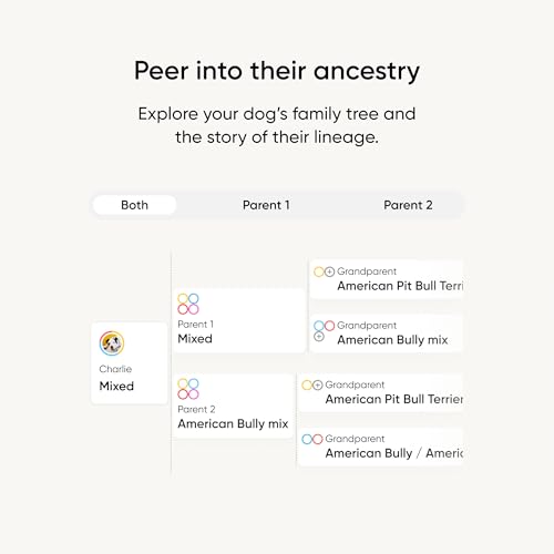 Embark Breed Identification Kit - Most Accurate Dog DNA Testing Kit - 99% Breed Ancestry Accuracy for Mixed Breed Dogs - Plus Relative Finder & Family Tree