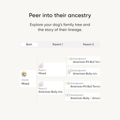Embark Breed Identification Kit - Most Accurate Dog DNA Testing Kit - 99% Breed Ancestry Accuracy for Mixed Breed Dogs - Plus Relative Finder & Family Tree