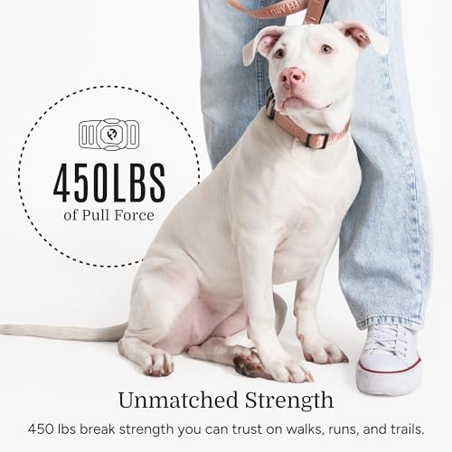 2026 New Edition, Fei & Eve MagEase Dog Collar - Patented Magnetic Buckles | Fur-Safe | Premium 210D Nylon | 450LB Escape-Proof | Adjustable Fit | Large (Blush)