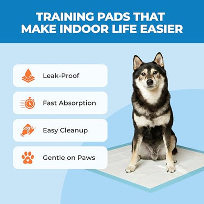 Best Pet Supplies XL (36 x 28 Inches) Puppy Pads 100 Count - Super Absorbent Dog Training Pads, Quick-Dry, Odor Control, Disposable Pee Pads, Leak-Proof Wee Wee Pads for Indoor Dogs – Baby Blue