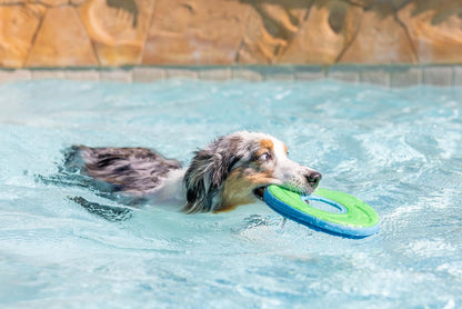 Chuckit Zipflight Flying Disc Dog Toy, Medium (8.5"), Orange and Blue