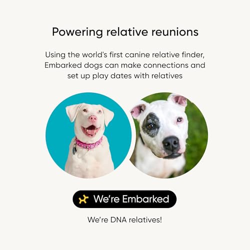 Embark Breed Identification Kit - Most Accurate Dog DNA Testing Kit - 99% Breed Ancestry Accuracy for Mixed Breed Dogs - Plus Relative Finder & Family Tree