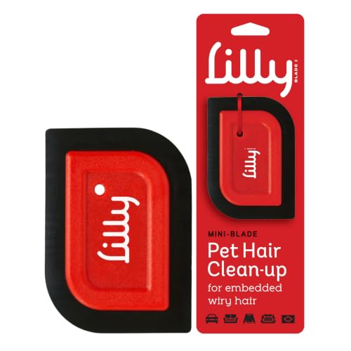 Lilly Brush Mini Pet Hair Detailer | Reusable Fur Remover for Car Interior, Carpet, Couch & Furniture