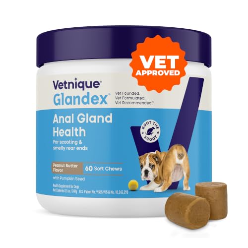 Vetnique Glandex for Dogs Anal Gland Chews 60ct Pumpkin + Digestive Enzymes | Anal Gland Dog Treats, Boot the Scoot + Fishy Odor Support, Fiber, Probiotics, Quercetin + Apple Pectin, Peanut Butter