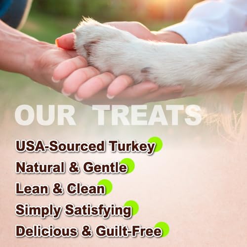 A Freschi srl Turkey Tendons for Dogs, Healthy Dog Treats, Rawhide-Free Puppy Chews, All Natural, Hypoallergenic Dog Treats, USA-Sourced Dog Snack, Dog Biscuit, Braided Sticks, 3.5 oz Pack