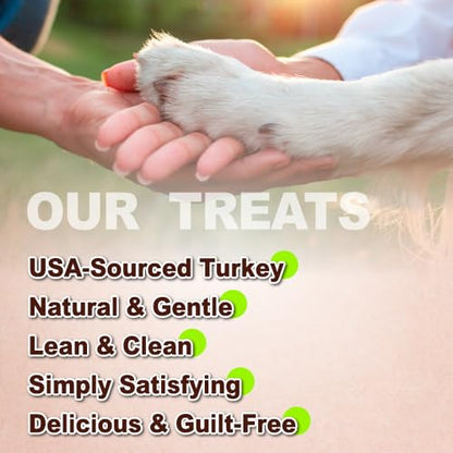 A Freschi srl Turkey Tendons for Dogs, Healthy Dog Treats, Rawhide-Free Puppy Chews, All Natural, Hypoallergenic Dog Treats, USA-Sourced Dog Snack, Dog Biscuit, Braided Sticks, 3.5 oz Pack