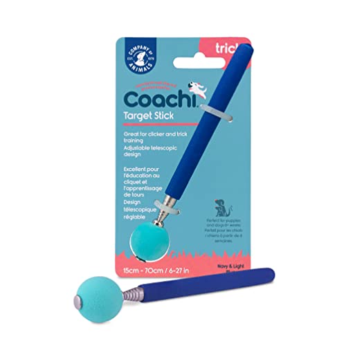 Coachi Target Stick | Navy/Light Blue
