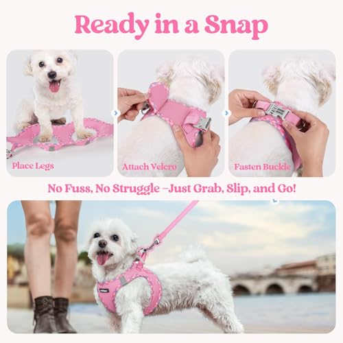rabbitgoo Dog Harness Small Sized and Leash Set, Step in Soft Light Puppy Vest, Breathable Mesh Pet Harness, Reflective for Safe Easy Walking, Pink & Plaid Trim S