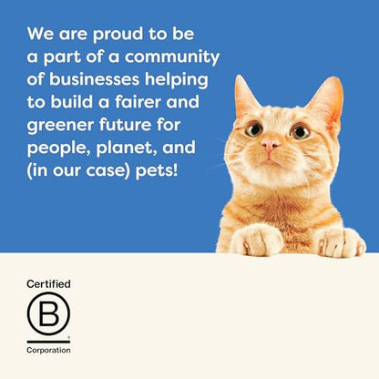 Applaws Natural Wet Cat Food, 24 Count, Limited Ingredient Canned Wet Cat Food, Tuna Fillet in Broth, 5.5oz Cans