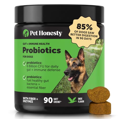 Pet Honesty Dog Probiotics Chews for Gut & Digestive Health, 90ct, Duck | Vet recommended probiotics for dogs with digestive enzymes, prebiotics and fiber for regularity, gentle on sensitive stomachs