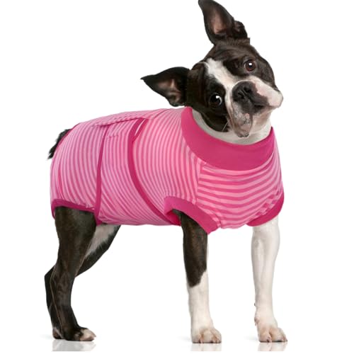 FUAMEY Recovery Suit for Dogs After Surgery,Soft Breathable Dog Bodysuit