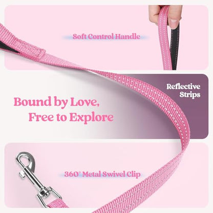 rabbitgoo Dog Harness Small Sized and Leash Set, Step in Soft Light Puppy Vest, Breathable Mesh Pet Harness, Reflective for Safe Easy Walking, Pink & Plaid Trim S