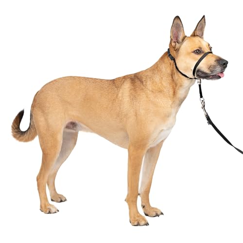 PetSafe Gentle Leader No-Pull Dog Headcollar - The Ultimate Solution to Pulling - Redirects Your Dog's Pulling for Easier Walks - Helps You Regain Control - Medium, Black