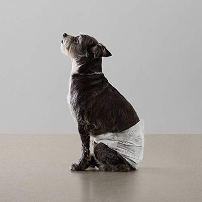 Amazon Basics Leak-Proof, Super Absorbent Male Dog Diapers with Wetness Indicator, Comfortable Design, Breathable Disposable Wrap, Secure Fit, Small, 30 Count
