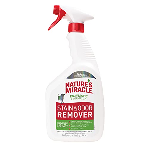 Nature's Miracle Stain and Odor Remover Dog, 32 Ounces, Everyday Mess Enzymatic Odor Control Formula