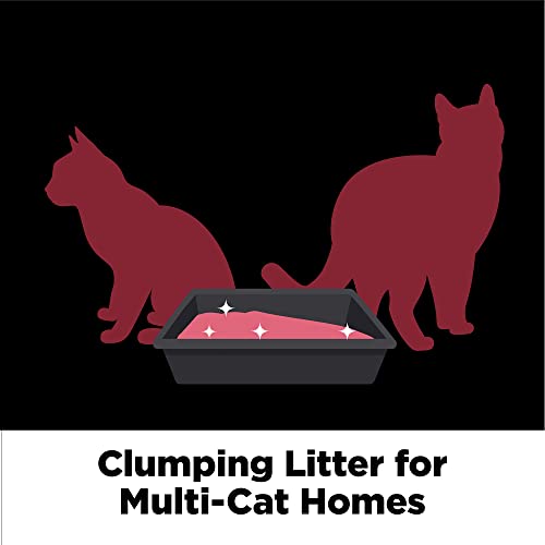 ARM & HAMMER Clump & Seal Platinum Cat Litter, Improved Packaging, 34 lbs