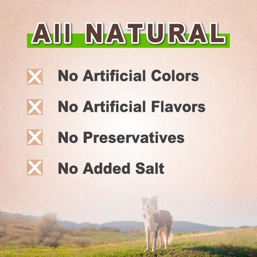 A Freschi srl Turkey Tendons for Dogs, Healthy Dog Treats, Rawhide-Free Puppy Chews, All Natural, Hypoallergenic Dog Treats, USA-Sourced Dog Snack, Dog Biscuit, Braided Sticks, 3.5 oz Pack