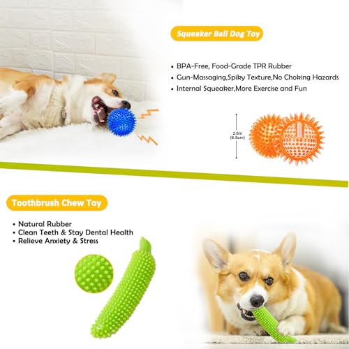 Aipper Dog Toys 25 Pack for Fun and Teeth Cleaning, Puppy Chew Toys Pack with Squeak Plush Toy,Squeaky Toy Balls,Tug of War and Rope Toys for Puppy to Small Dogs