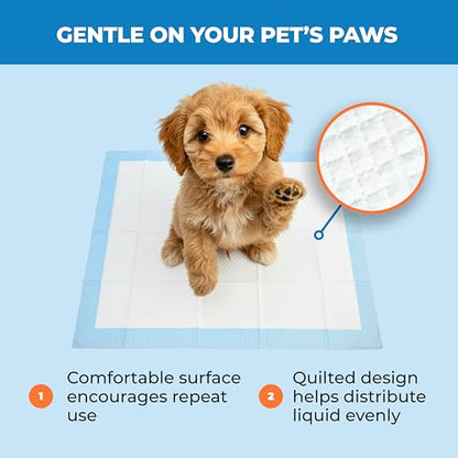 Best Pet Supplies XL (36 x 28 Inches) Puppy Pads 100 Count - Super Absorbent Dog Training Pads, Quick-Dry, Odor Control, Disposable Pee Pads, Leak-Proof Wee Wee Pads for Indoor Dogs – Baby Blue